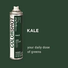 Kale Dark Green Colorshot Paint