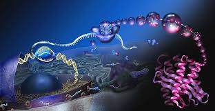 100 biology pictures wallpapers com