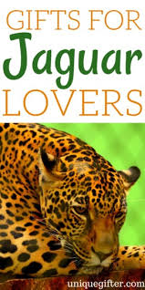 20 gift ideas for jaguar