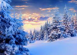 Обои Природа Зима, обои для рабочего стола, фотографии природа, зима, ели,  снег Обои для рабочего стола, скачать обои картинки заставки на рабочий  стол.