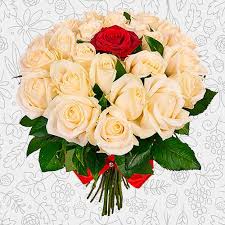 send bouquet of 25 mixed roses to