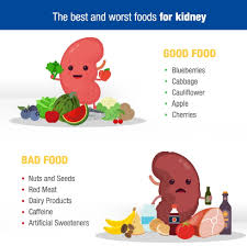 These Foods Drinks Help Keep Kidney Fits And Healthy