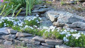 Rocky crevasses that hold boggy water are not suitable for most plants. How We Designed Our Rock Garden Landscaping Our Yard With Rocks And Boulders Dengarden