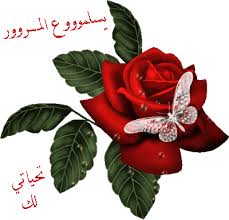  أسد الصحراء Images?q=tbn:ANd9GcQY1WuiUwQONlewoe1d91oN5t0Sh0wIYgZ50pMah79oLMVFu7hh