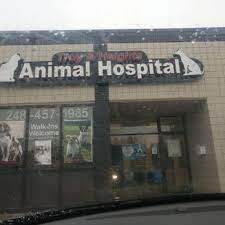 Veterinary Hospital Near My Location gambar png
