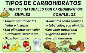 los carbohidratos botanical