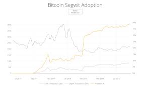 Has Bitcoin Scaled Is Bitcoin Ready For The Next Bubble
