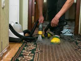 the process of cleaning carpets with a