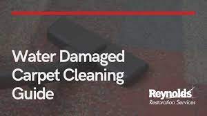 water damage carpet cleaning guide