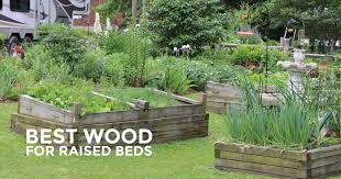 best wood for raised garden beds
