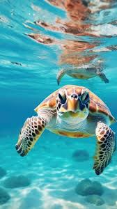 premium ai image gentle sea turtles