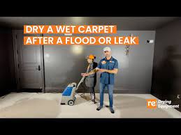 how to dry a wet carpet after a flood