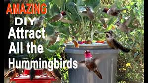 This homemade, hanging diy bird bath takes minutes to make and will instantly add a unique (3) homemade step stool bird bath. Endless Water Hummingbird Bird Bath Cheap Diy Attracts Birds Solar Powered Water Fountain In Garden Youtube