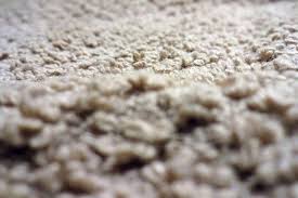 denver best carpet cleaner