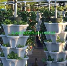 Hydroponic Vertical Plant Pot Stackable