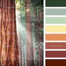 Redwood Colour Palette Google Search