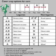 Overseeding Cover Crops Msu Extension