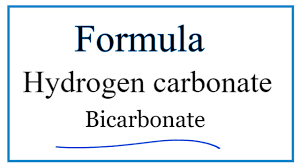 hydrogen carbonate bicarbonate