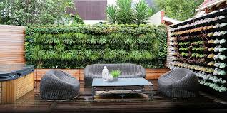 Balcony Gardening Services In India