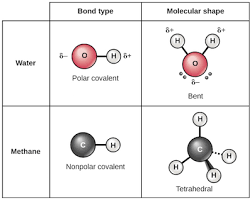 chemical bonds chemistry of life