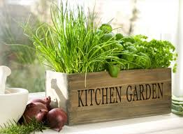 Make Herb Garden On Your Window Sill
