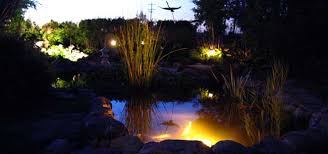 How To Design Led Landscape Pond Lighting Systems The Pond Experts