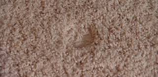 how to remove dents from carpet