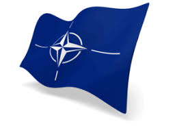 Check spelling or type a new query. Nato Flag Perspective Anim