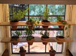 Hanging Plant Shelves Indoor Planters