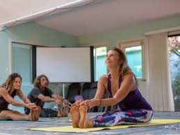 6 day hawaii dolphin yoga retreat in