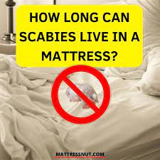 How Long Can Scabies Live In A Mattress