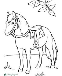 saddle horse coloring pages