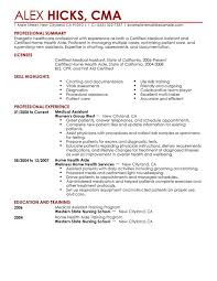 Resume Summary Statement Examples Healthcare Free Office