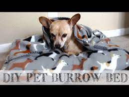 Diy 10 Minute Pet Snuggle Bed