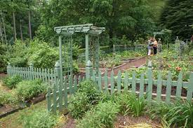 Vegetable Garden With A Green Picket