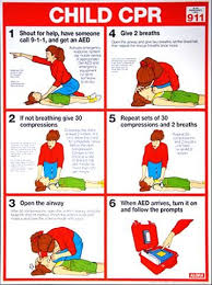 Child Cpr First Aid Wall Chart Poster 2017 Aha Guidelines