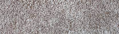 how to get rid of ants in carpet diy