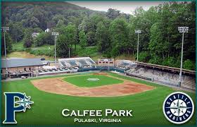 Motor Mile Field At Calfee Park Team Pulaski Yankees
