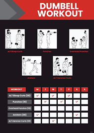 free dumbell workout chart pdf