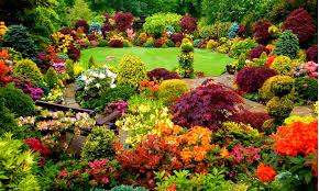 Пикай в градината полей цветята за да им се радват утре децата пикай в градината докато е тъмно защото след малко. 50 Vnushitelni Krasivo Ozeleneni Gradini Koito She Vi Nakarat Da Mechtaete Za Sledobedi Na Otkrito Smart Brokers
