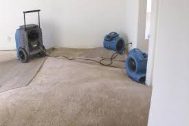 carpet flood water damage repair san