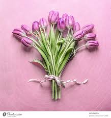 beautiful purple tulip flowers bunch