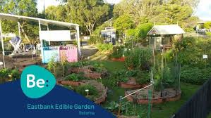 Sunshine Coast Community Gardens