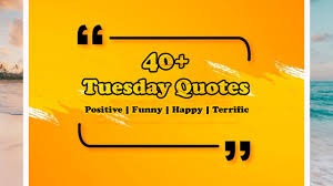 Good morning and happy tuesday! Quote Of The Day Tuesday Quotes Positive Happy And Terrific Quotes