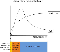 resource use efficiency in ecology
