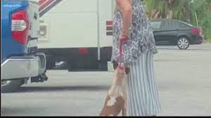 Video shows Florida woman jerk dog around | wtsp.com