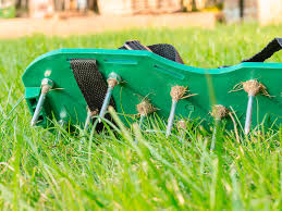 The first and one of the most important things about. 7 Lawn Care Tips Lovethegarden