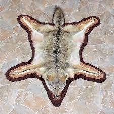 coyote rug mount 12329 the
