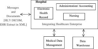 A Healthcare Organization Download Scientific Diagram