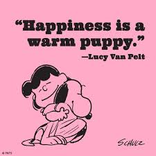 Happiness is a warm puppy. Happiness Is A Warm Puppy Lucy Van Pelt This Classic Phrase Debuted In A Peanuts Strip Published On April 2 Lucy Van Pelt Lucy Van Pelt Quotes Snoopy Love